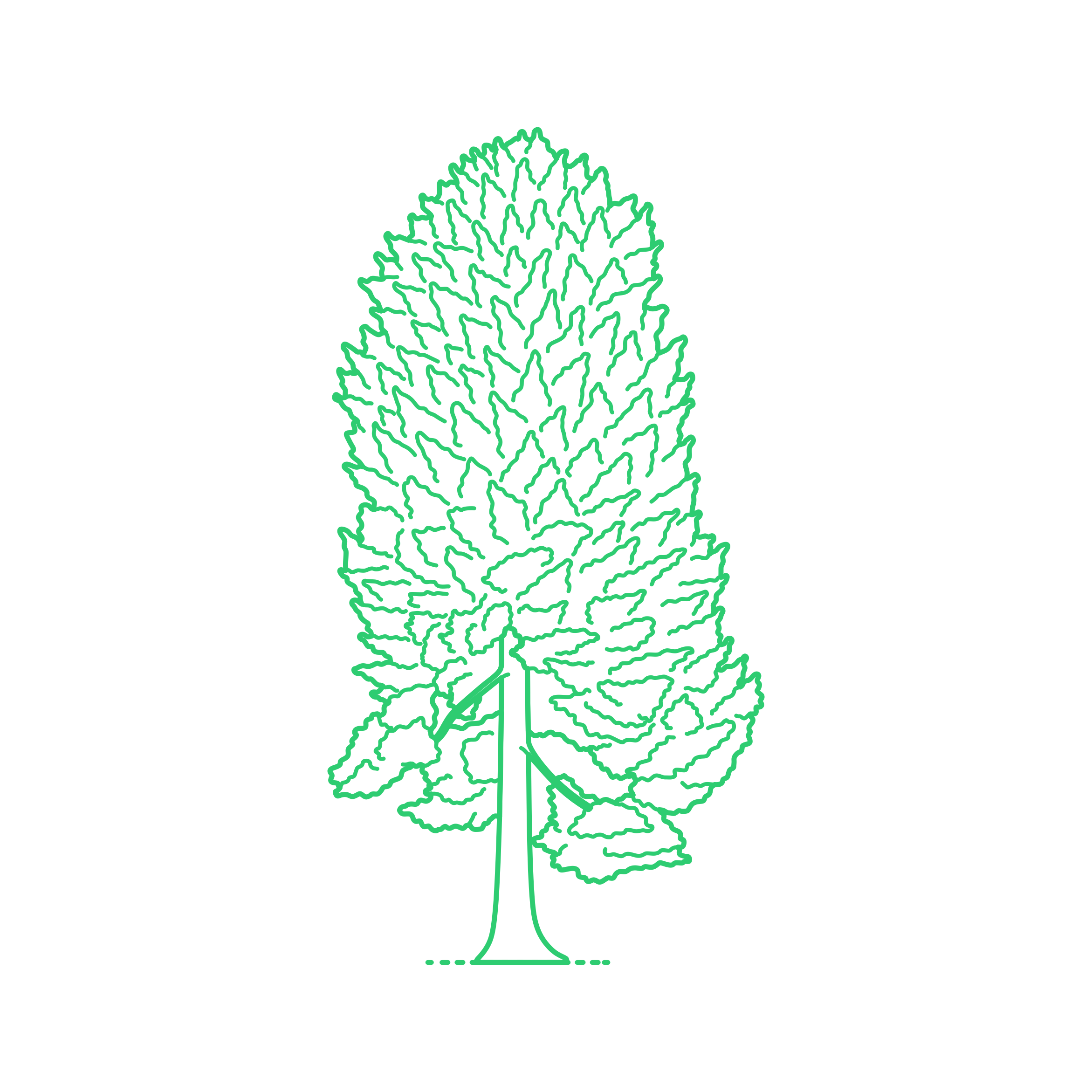 Plants Cypresses Hinoki Cypress Sticker Svg Vector Free Vectors